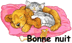 bonne nuit chien et chat